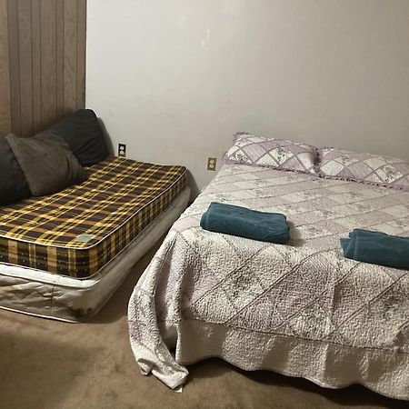 Cozy Apartment With A Spacious Backyard In The Ravine โตรอนโต ภายนอก รูปภาพ