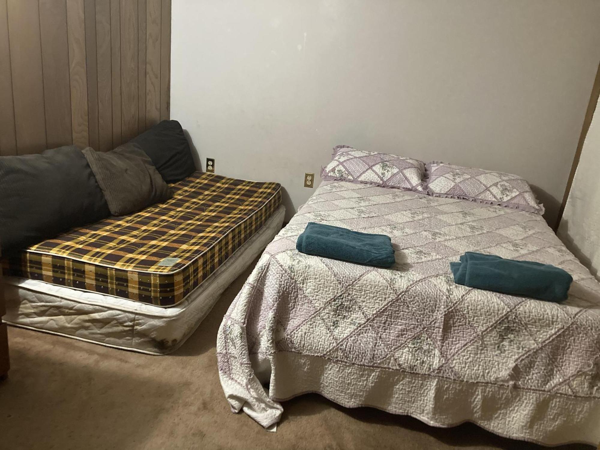 Cozy Apartment With A Spacious Backyard In The Ravine โตรอนโต ภายนอก รูปภาพ